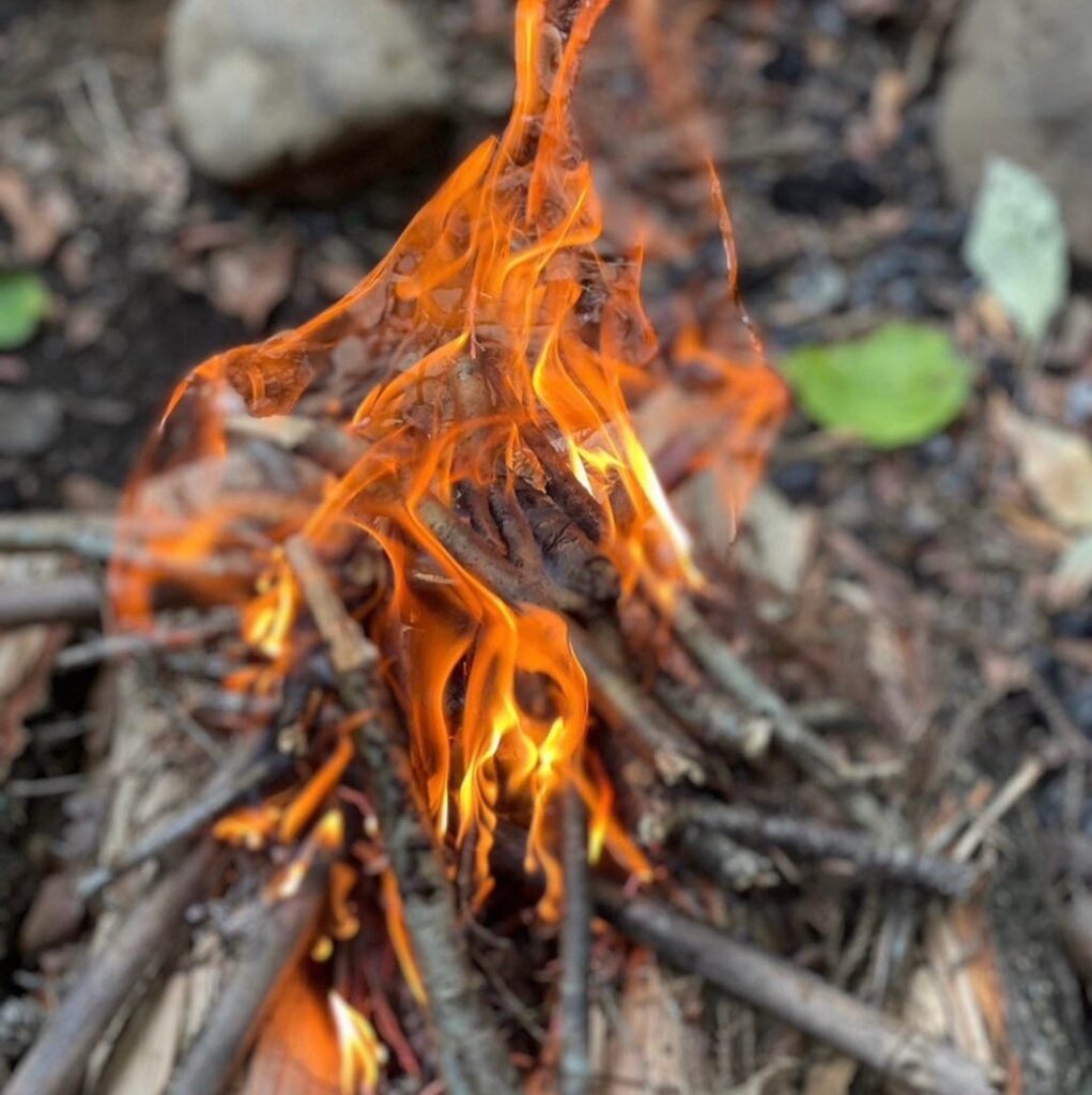 焚き火